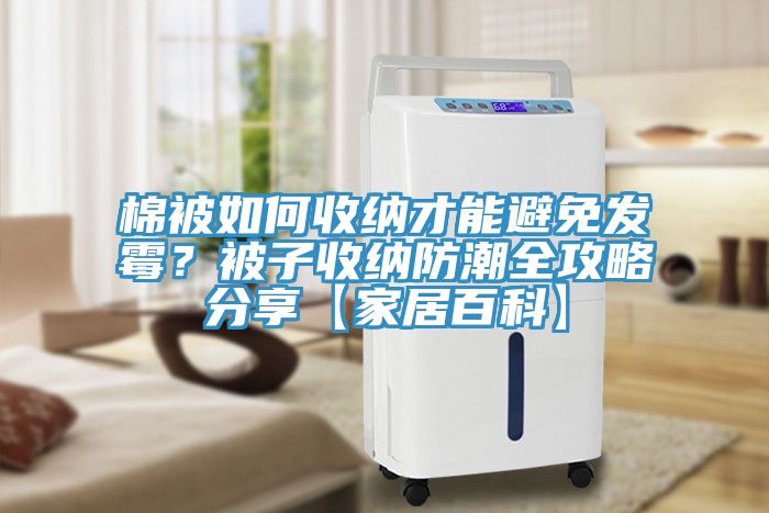 棉被如何收納才能避免發(fā)霉？被子收納防潮全攻略分享【家居百科】