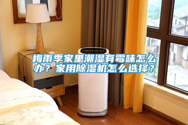 梅雨季家里潮濕有霉味怎么辦？家用除濕機(jī)怎么選擇？