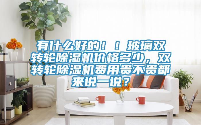 有什么好的?。〔Ａщp轉(zhuǎn)輪除濕機價格多少，雙轉(zhuǎn)輪除濕機費用貴不貴都來說一說？
