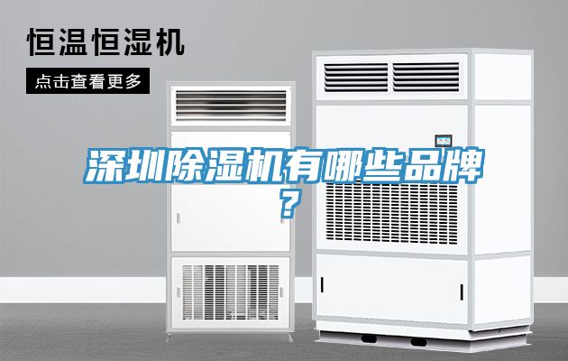 深圳除濕機(jī)有哪些品牌？