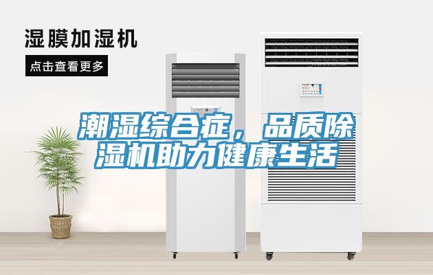 潮濕綜合癥，品質除濕機助力健康生活