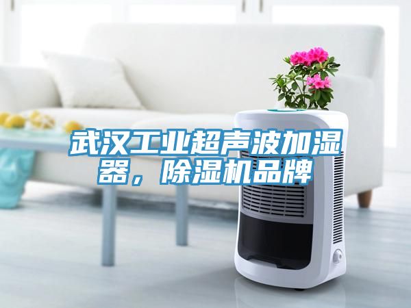 武漢工業(yè)超聲波加濕器，除濕機品牌