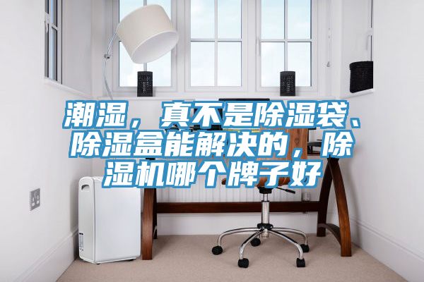 潮濕，真不是除濕袋、除濕盒能解決的，除濕機哪個牌子好