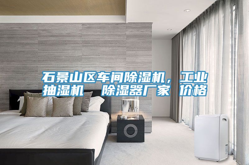 石景山區(qū)車間除濕機，工業(yè)抽濕機  除濕器廠家 價格