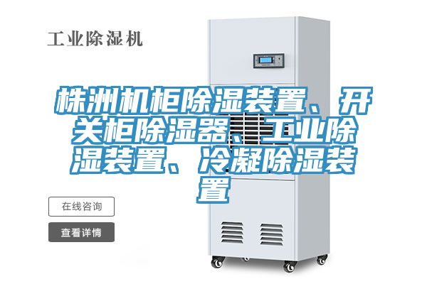 株洲機柜除濕裝置、開關(guān)柜除濕器、工業(yè)除濕裝置、冷凝除濕裝置