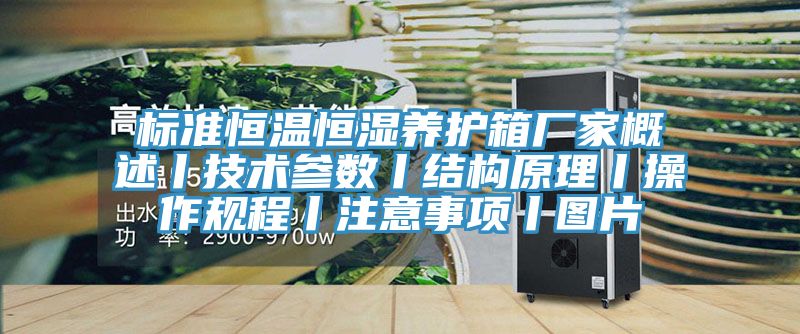 標準恒溫恒濕養(yǎng)護箱廠家概述丨技術(shù)參數(shù)丨結(jié)構(gòu)原理丨操作規(guī)程丨注意事項丨圖片