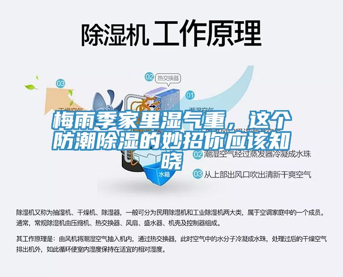 梅雨季家里濕氣重，這個(gè)防潮除濕的妙招你應(yīng)該知曉