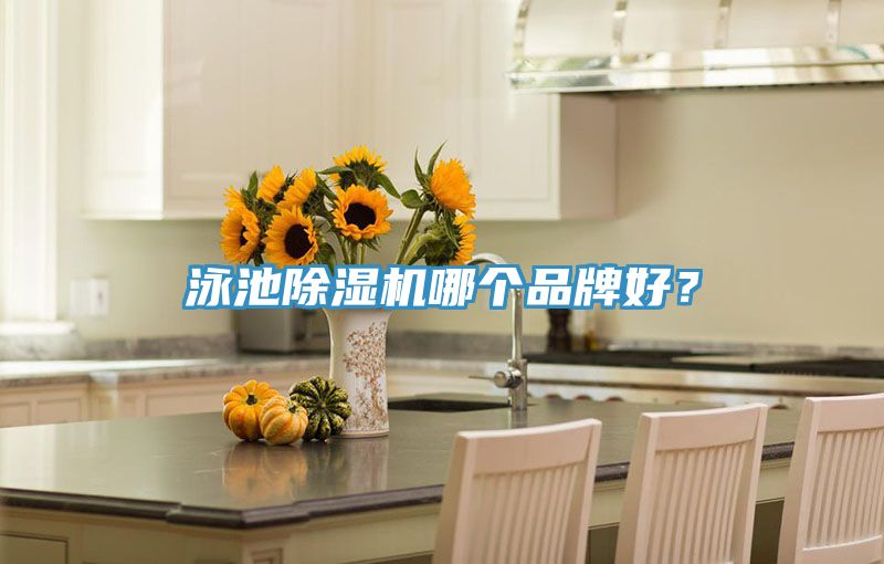 泳池除濕機(jī)哪個品牌好？