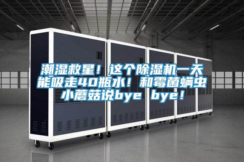 潮濕救星！這個除濕機一天能吸走40瓶水！和霉菌螨蟲小蘑菇說bye bye！