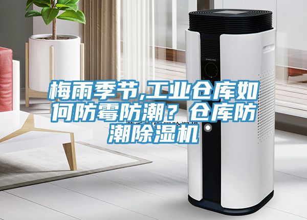 梅雨季節(jié),工業(yè)倉庫如何防霉防潮？倉庫防潮除濕機(jī)