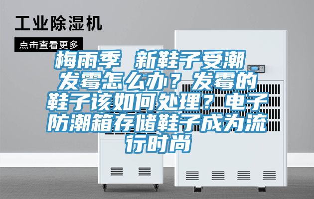 梅雨季 新鞋子受潮 發(fā)霉怎么辦？發(fā)霉的鞋子該如何處理？電子防潮箱存儲(chǔ)鞋子成為流行時(shí)尚