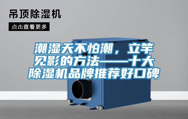 潮濕天不怕潮，立竿見影的方法——十大除濕機品牌推薦好口碑