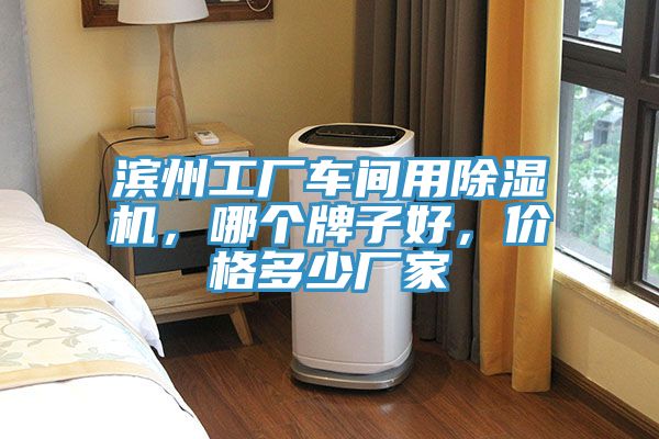 濱州工廠車間用除濕機，哪個牌子好，價格多少廠家