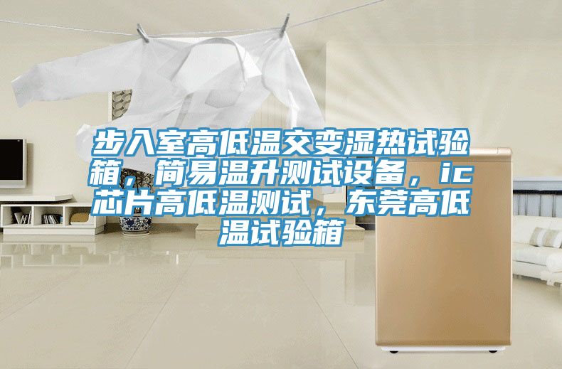 步入室高低溫交變濕熱試驗(yàn)箱，簡(jiǎn)易溫升測(cè)試設(shè)備，ic芯片高低溫測(cè)試，東莞高低溫試驗(yàn)箱