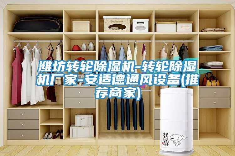 濰坊轉(zhuǎn)輪除濕機-轉(zhuǎn)輪除濕機廠家-安適德通風設(shè)備(推薦商家)