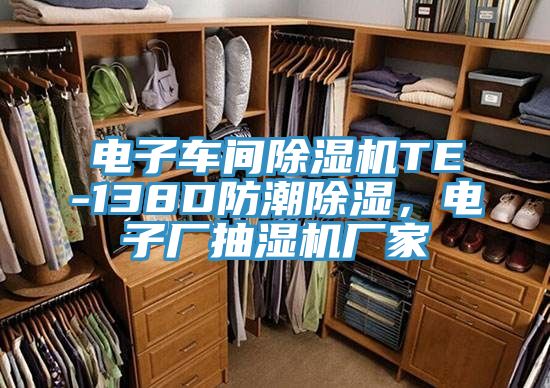 電子車間除濕機TE-138D防潮除濕，電子廠抽濕機廠家