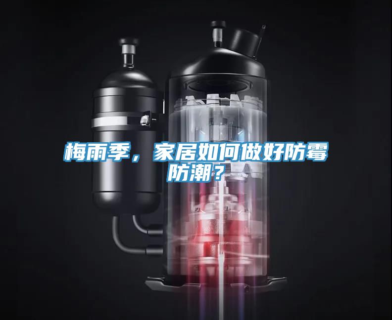 梅雨季，家居如何做好防霉防潮？