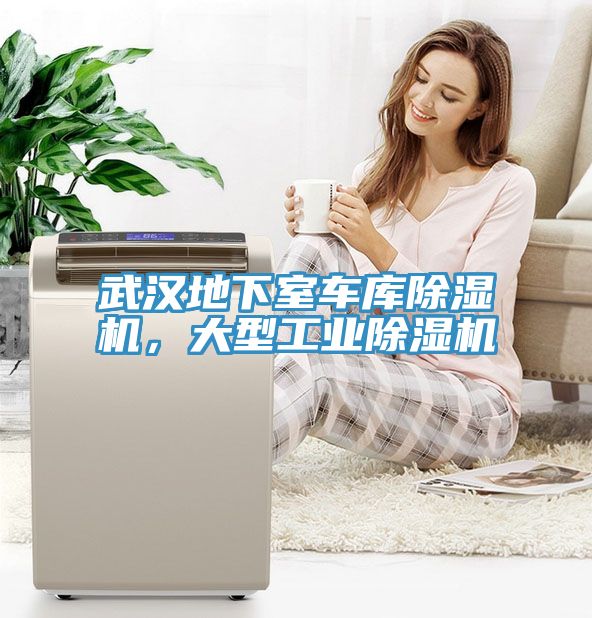 武漢地下室車庫(kù)除濕機(jī)，大型工業(yè)除濕機(jī)