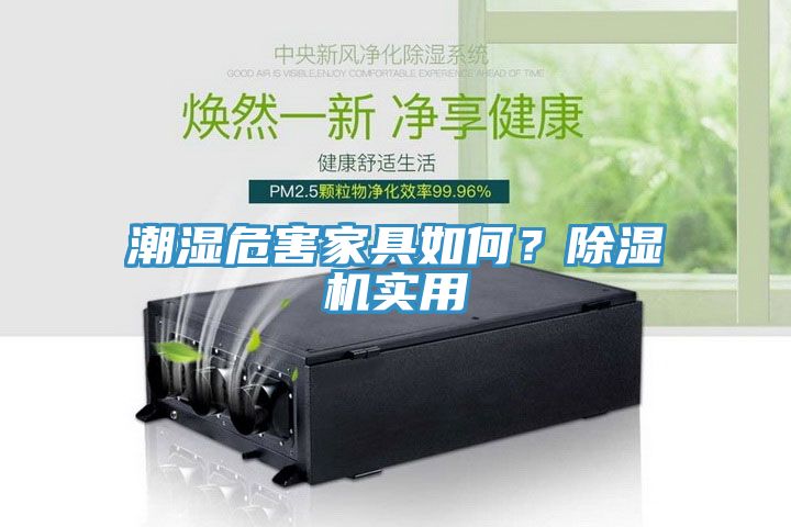 潮濕危害家具如何？除濕機實用