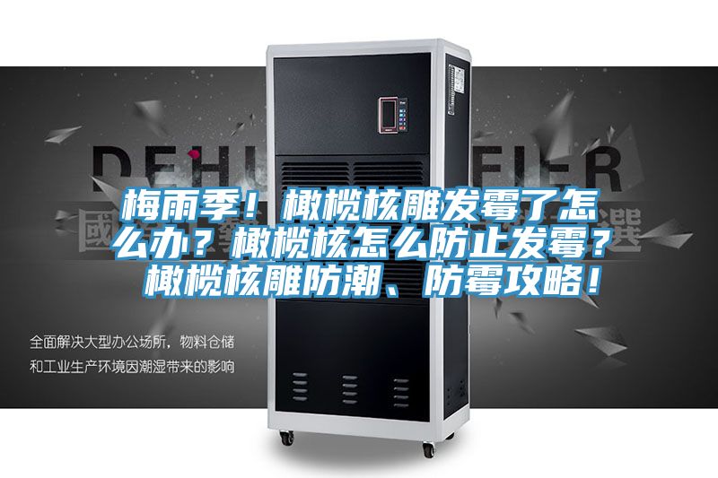 梅雨季！橄欖核雕發(fā)霉了怎么辦？橄欖核怎么防止發(fā)霉？ 橄欖核雕防潮、防霉攻略！