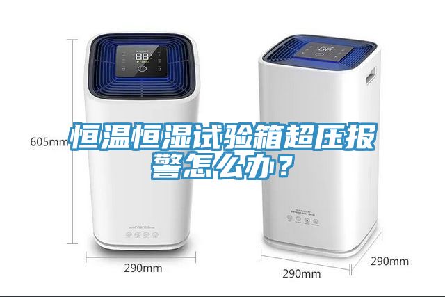 恒溫恒濕試驗箱超壓報警怎么辦？