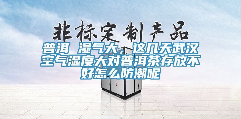 普洱 濕氣大，這幾天武漢空氣濕度大對(duì)普洱茶存放不好怎么防潮呢