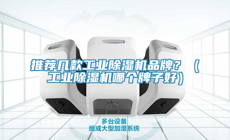 推薦幾款工業(yè)除濕機(jī)品牌？（工業(yè)除濕機(jī)哪個(gè)牌子好）
