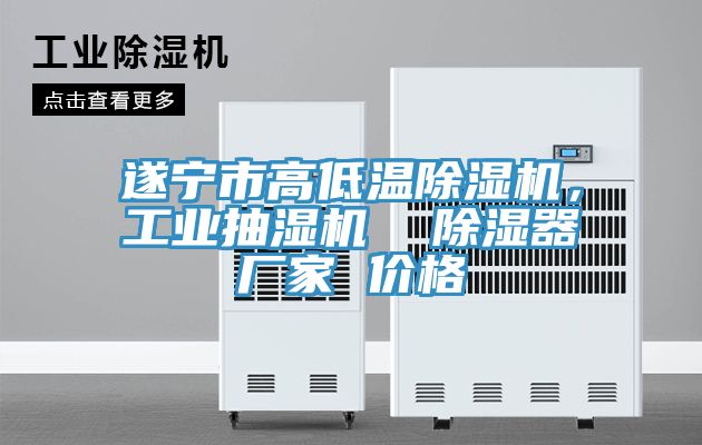 遂寧市高低溫除濕機，工業(yè)抽濕機  除濕器廠家 價格