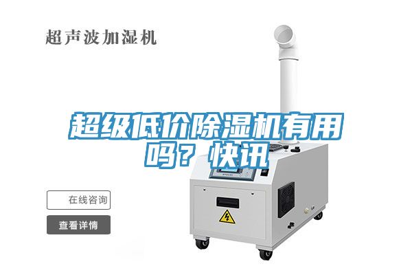 超級(jí)低價(jià)除濕機(jī)有用嗎？快訊