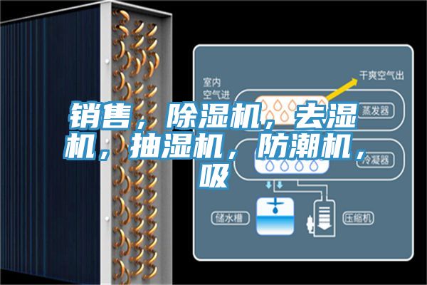 銷售，除濕機(jī)，去濕機(jī)，抽濕機(jī)，防潮機(jī)，吸