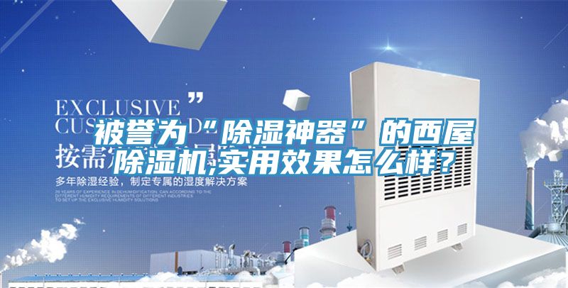 被譽為“除濕神器”的西屋除濕機,實用效果怎么樣？