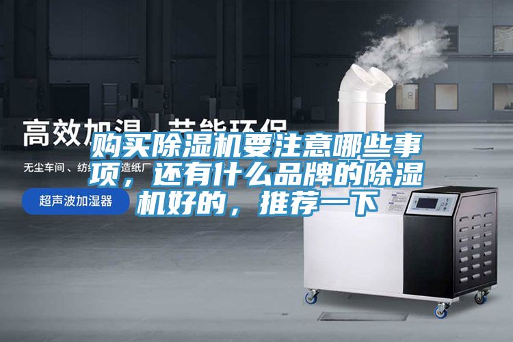 購買除濕機(jī)要注意哪些事項，還有什么品牌的除濕機(jī)好的，推薦一下