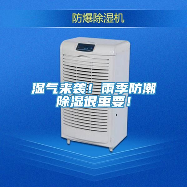 濕氣來襲！雨季防潮除濕很重要！