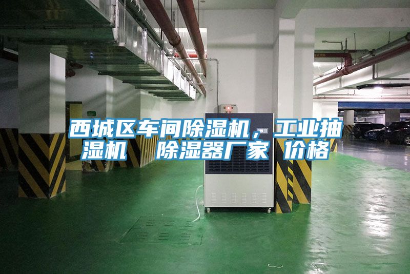 西城區(qū)車間除濕機(jī)，工業(yè)抽濕機(jī)  除濕器廠家 價格