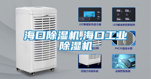 ?？诔凉駲C,?？诠I(yè)除濕機