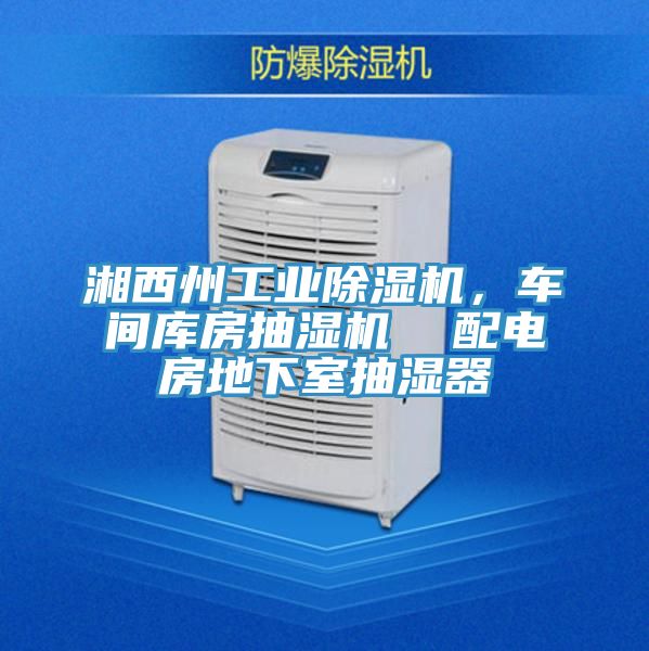 湘西州工業(yè)除濕機(jī)，車間庫(kù)房抽濕機(jī)  配電房地下室抽濕器