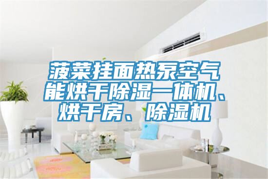 菠菜掛面熱泵空氣能烘干除濕一體機、烘干房、除濕機