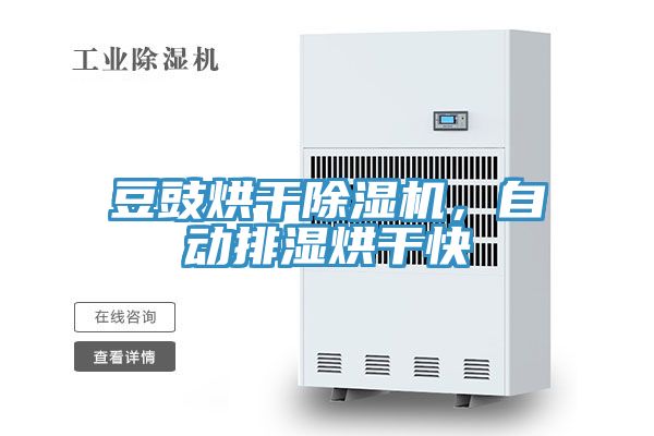 豆豉烘干除濕機(jī)，自動排濕烘干快