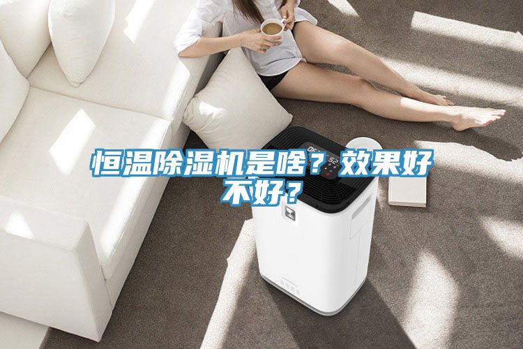 恒溫除濕機是啥？效果好不好？