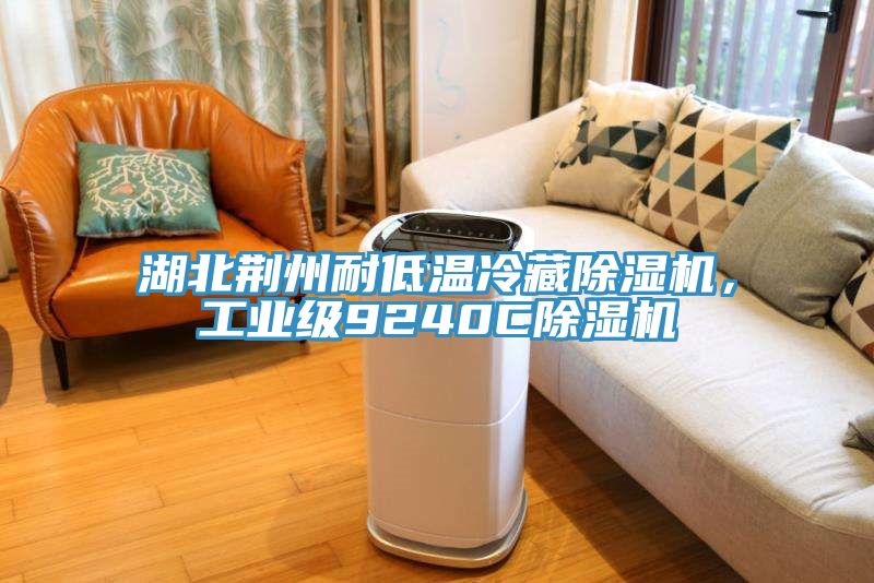 湖北荊州耐低溫冷藏除濕機(jī)，工業(yè)級(jí)9240C除濕機(jī)