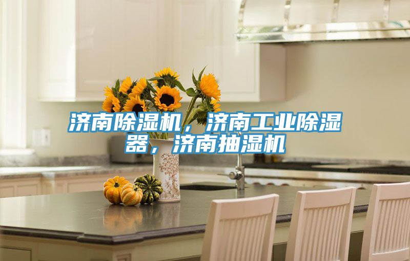 濟(jì)南除濕機(jī)，濟(jì)南工業(yè)除濕器，濟(jì)南抽濕機(jī)