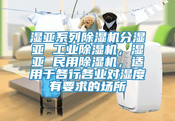 濕亞系列除濕機(jī)分濕亞 工業(yè)除濕機(jī)，濕亞 民用除濕機(jī)，適用于各行各業(yè)對(duì)濕度有要求的場(chǎng)所