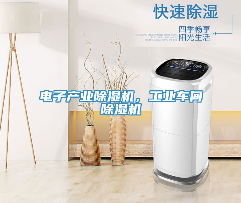 電子產(chǎn)業(yè)除濕機(jī)，工業(yè)車(chē)間除濕機(jī)
