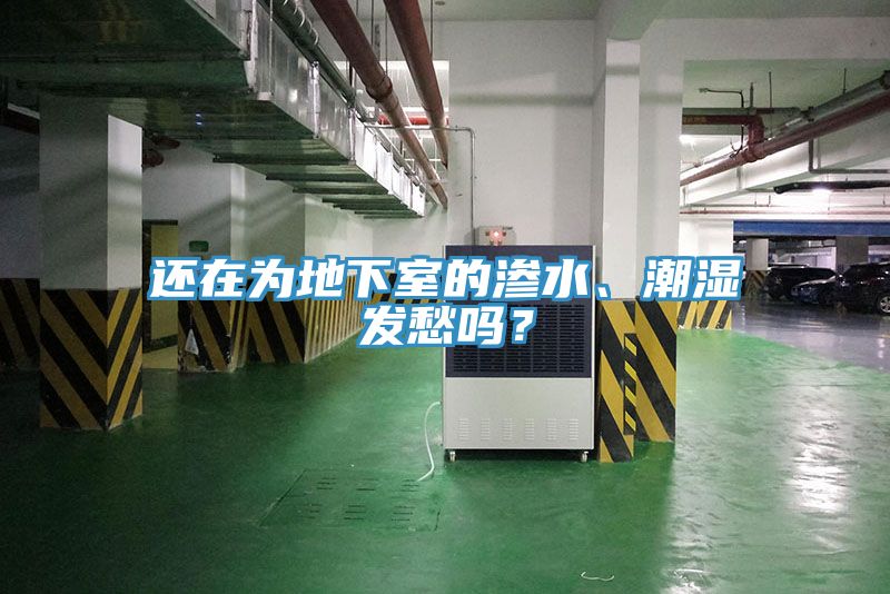 還在為地下室的滲水、潮濕發(fā)愁嗎？