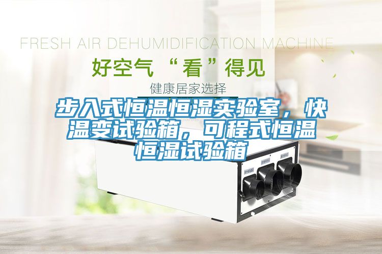 步入式恒溫恒濕實(shí)驗(yàn)室，快溫變試驗(yàn)箱，可程式恒溫恒濕試驗(yàn)箱