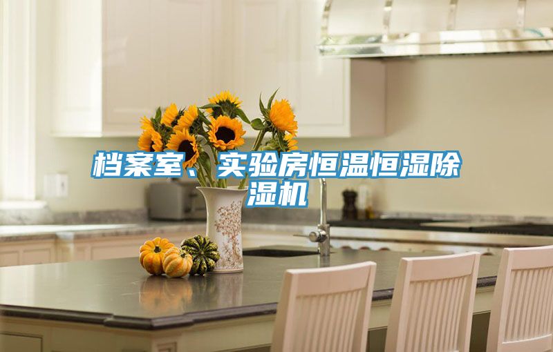 檔案室、實(shí)驗(yàn)房恒溫恒濕除濕機(jī)