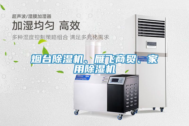 煙臺除濕機(jī)、雁飛商貿(mào)、家用除濕機(jī)