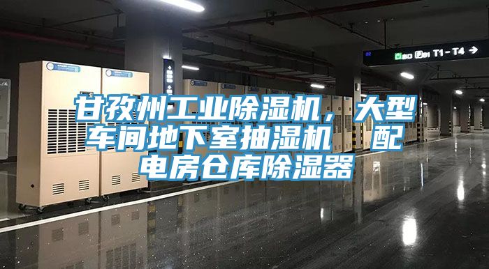 甘孜州工業(yè)除濕機，大型車間地下室抽濕機  配電房倉庫除濕器
