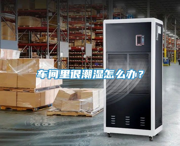 車間里很潮濕怎么辦？