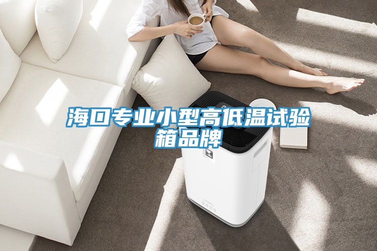 ?？趯I(yè)小型高低溫試驗(yàn)箱品牌